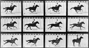 Film History