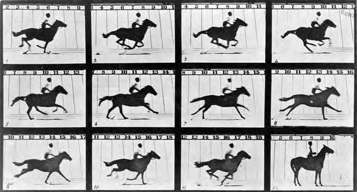 Film History